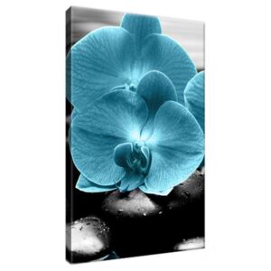 Obraz na plátně Tyrkysová orchidej a kameny 20x30cm 2398A_1S