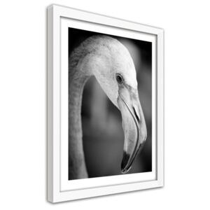 CARO Obraz v rámu - Flamingo In Black And White 30x40 cm Bílá