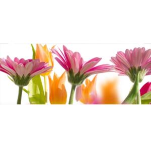 Panoramatické vliesové fototapety na zeď Jarní květiny | MP-2-0142 | 375x150 cm
