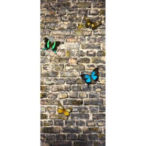 Fototapeta na dveře - Butterfly on the wall