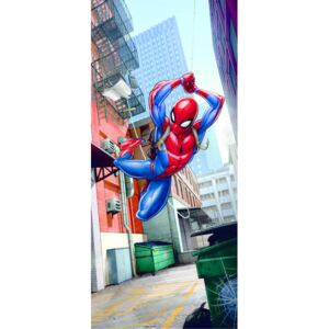 Fototapeta na dveře - Spider Man 2