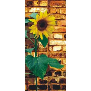 Fototapeta na dveře - Sunflower on bricks