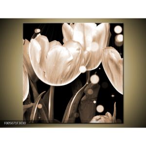 Černobílý obraz tulipánů (30x30 cm)