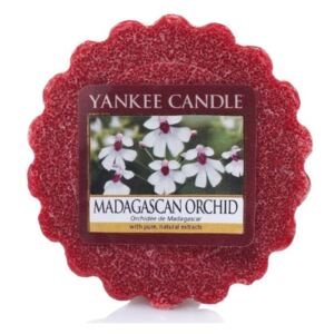 Yankee Candle - vonný vosk Madagascan Orchid