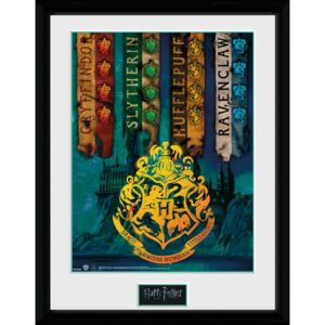 Plakát v rámu Harry Potter: House Flags (30 x 40 cm)