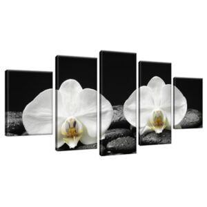 Obraz na plátně Bílá orchidej a černý kámen 150x70cm 1709A_5B