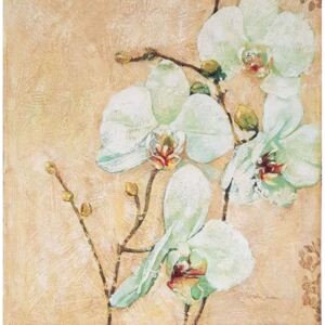 ART-STYLE Obrázek 18x18, orchidea, rám bílý s patinou