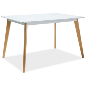 Jídelní stůl 120x80 cm v bílé barvě na dřevěné konstrukci v dekoru buk KN966
