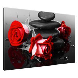 Obraz na plátně Roses and spa 120x80cm S-1400A_1B(P)