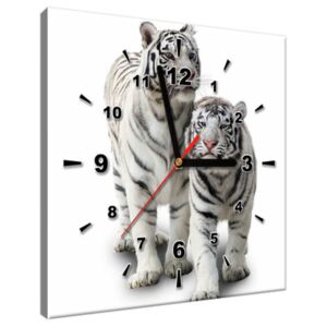 Tištěný obraz s hodinami Bílé tygry ZP1270A_1AI