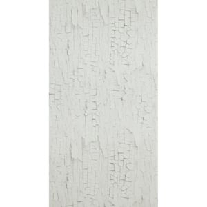 BN international Vliesová tapeta na zeď BN 218020, kolekce Essentials, styl moderní 0,53 x 10,05 m