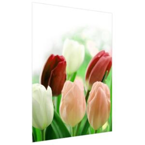 Roleta s potiskemČervené tulipány 110x150cm FR2181A_1ME