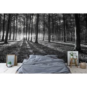 GLIX Fototapeta - Forest Landscape Black And White Vliesová tapeta - 206x275 cm