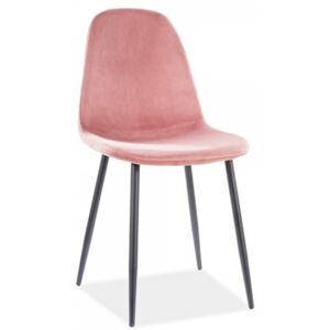 Jídelní židle Fox Velvet růžová