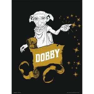 Obraz, Reprodukce - Harry Potter - Dobby, (30 x 40 cm)