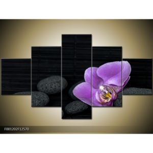 Černý obraz s orchidejí (F001202F12570)