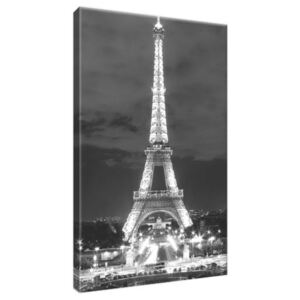 Obraz na plátně Eiffelova věž černo-bílá 20x30cm 518A_1S