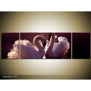 Obraz labutí na jezeře (F002698F17050)