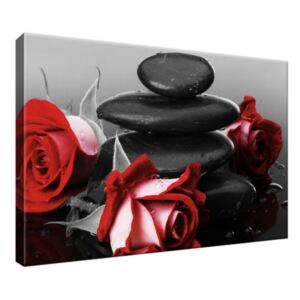 Obraz na plátně Červené růže a kameny 30x20cm 1705A_1T