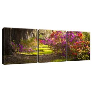 Obraz na plátně Silné duby a květiny 90x30cm 1480A_3A