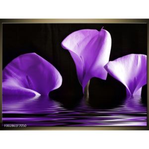 Obraz tří fialových květin na vodě (F002861F7050)