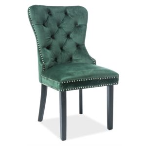 Jídelní židle - AUGUST Velvet, různé barvy na výběr Čalounění: zelená (tap.119)