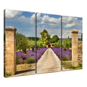 Obraz na plátně Cesta v Provence 90x60cm 1993A_3J