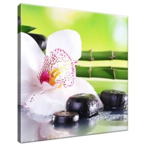 Obraz na plátně Bílá orchidej a kameny 30x30cm 1995A_1AI