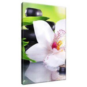 Obraz na plátně Bílá orchidej a kameny 20x30cm 1995A_1S