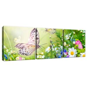 Obraz na plátně Motýli a květiny v krásné zahradě 90x30cm 2220A_3A
