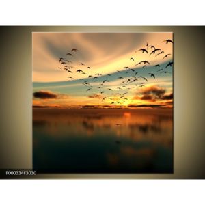Obraz létajících ptáků (F000334F3030)