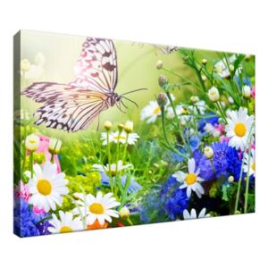 Obraz na plátně Motýli a květiny v krásné zahradě 30x20cm 2220A_1T