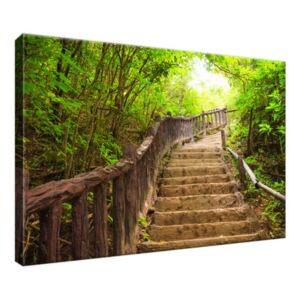 Obraz na plátně Schody v lese v Thajsku 30x20cm 2327A_1T