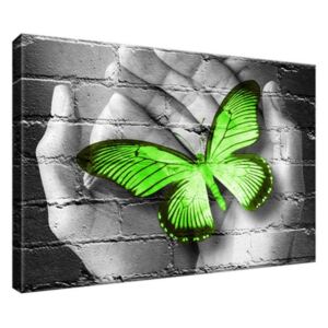 Obraz na plátně Zelený motýl na dlaních 30x20cm 2362A_1T
