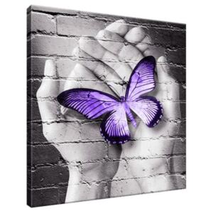 Obraz na plátně Fialový motýl na dlaních 30x30cm 2389A_1AI