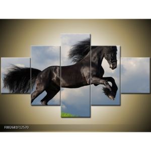 Obraz černého koně (F002681F12570)