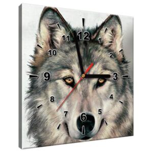 Obraz s hodinami Šedý vlk 30x30cm ZP3341A_1AI