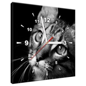 Obraz s hodinami Kočičí pohled - Visualpanic 30x30cm ZP970A_1AI