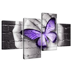 Obraz na plátně Fialový motýl na dlaních 120x70cm 2389A_4AA