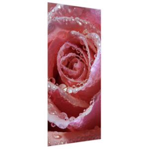 Samolepící fólie na dveře Krásná orosení růže 95x205cm ND4840A_1GV