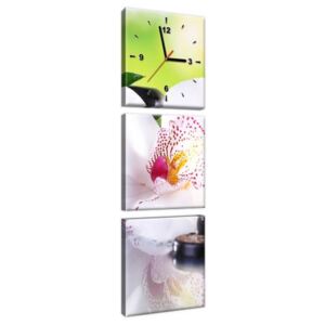 Obraz s hodinami Bílá orchidej a kameny 30x90cm ZP1995A_3V