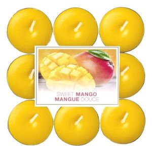 Bolsius NR Čajové 18ks Sweet Mango vonné svíčky
