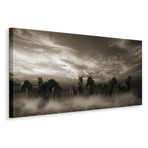 Obraz na plátně Divoké černé koně Sanders Malcolm 60x30cm WDC44839