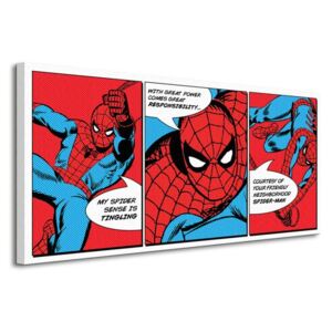 Obraz na plátně Marvel Spider-Man (Triptych) 100x50cm WDC91001