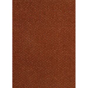 Metrážový koberec FORTESSE SDE NEW 64 70x140 cm