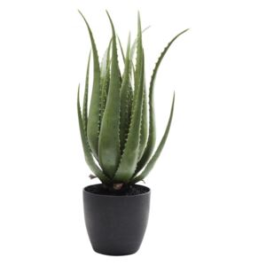 KARE DESIGN Dekorativní předmět Plant Aloe 69 cm, Vemzu
