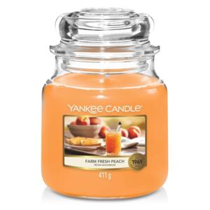 Yankee Candle - Classic vonná svíčka Farm Fresh Peach 411 g