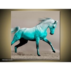 Obraz tyrkysového koně (F003681F3030)