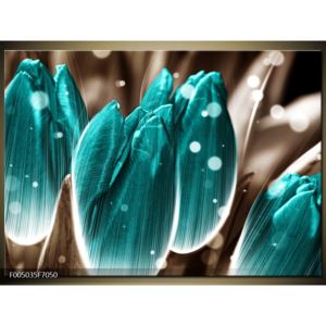 Krásný obraz tyrkysových tulipánů (F005035F7050)