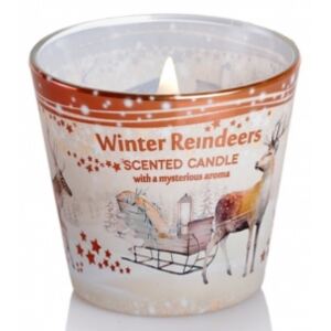 Svíčka ve skle WINTER REINDEERS 115 g (BARTEK CANDLES)